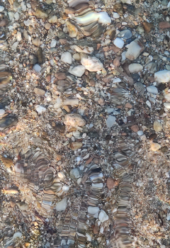 Sandy and pebble beaches of Kassandra