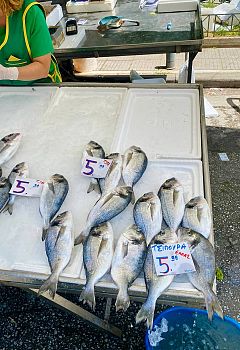 Sailors selling fresh fish