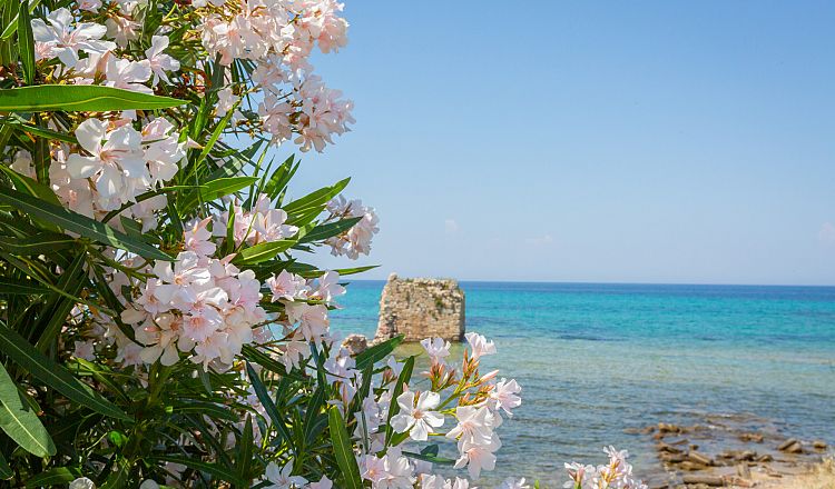 Popular photography spots of Potidea