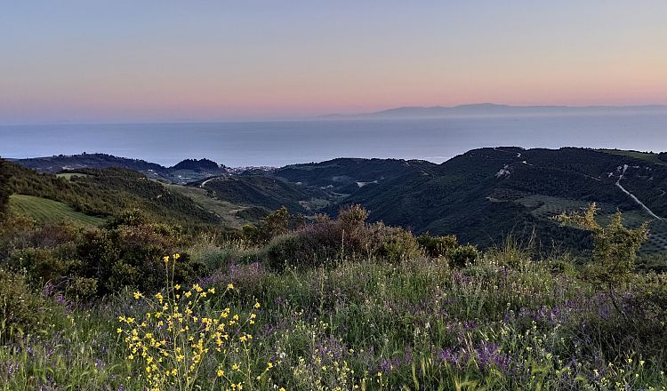 The rolling hills of Kassandra